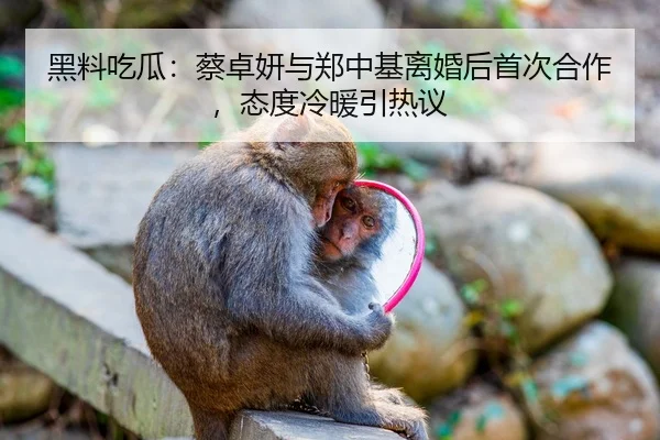 黑料吃瓜：蔡卓妍与郑中基离婚后首次合作，态度冷暖引热议