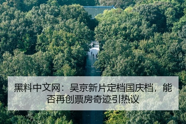 hei-liao-zhong-wen-wang-wu-jing-xin-pian-ding-dang-guo-qing-dang-neng-fou-zai-chuang-piao-fang-qi-ji-yin-re-yi-2-422.jpg